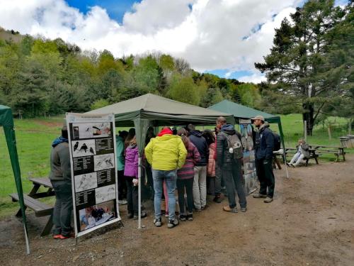 jornadas-ornitologicas9